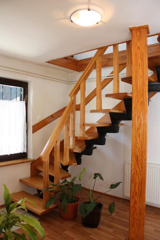 Apartment Jelena Selište Drežničko Habitación foto