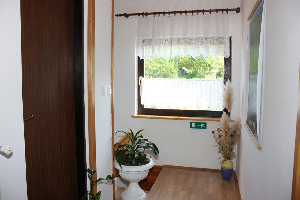 Apartment Jelena Selište Drežničko Habitación foto